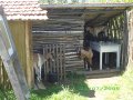 IMGP2842.JPG